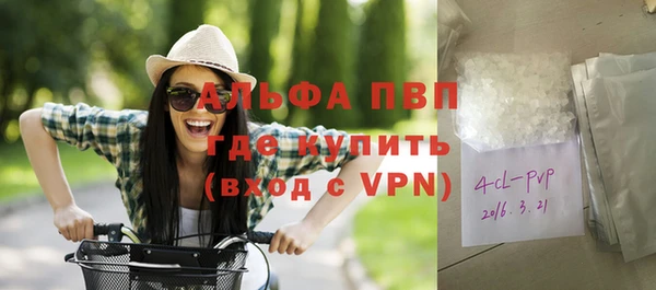 метадон Богданович