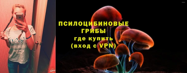 прущая мука Богородицк