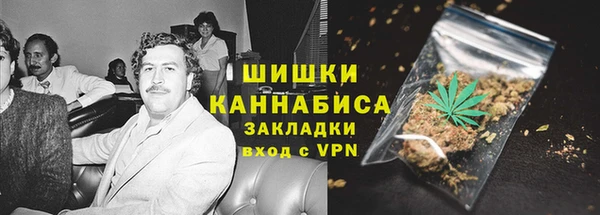метадон Богданович