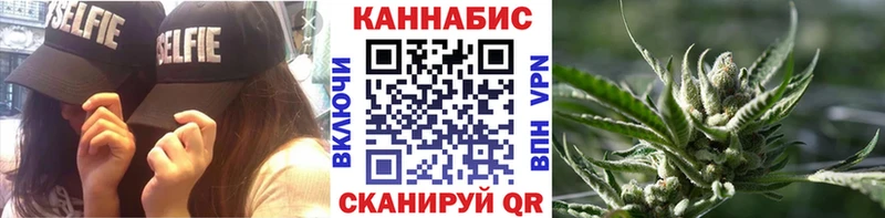 Конопля сатива  купить   Карабулак 